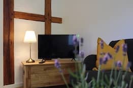 Detailausnahme vom Wohnzimmer mit Lavendel, Fernseher und Lampe